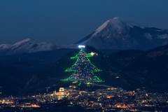 albero-di-gubbio-3